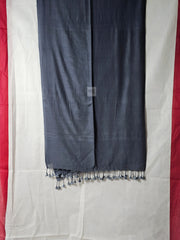 Bengali Beauty in Grey Saree – Graceful Traditional Look
